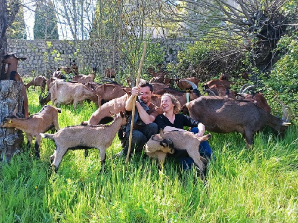 La chèvrerie de la Buèges
Elevage de chèvres à St André de Buèges
